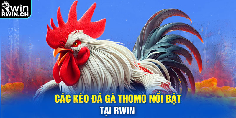 Các kèo đá gà Thomo nổi bật tại RWIN