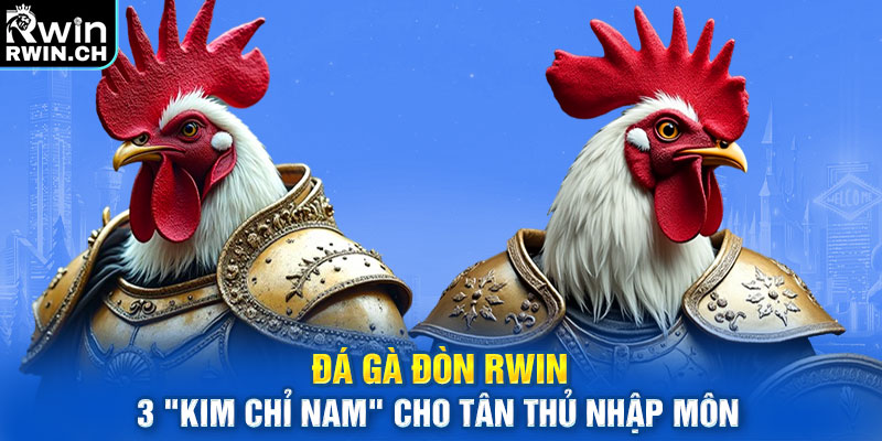 Đá Gà Đòn RWIN 3 "Kim Chỉ Nam" Cho Tân Thủ Nhập Môn