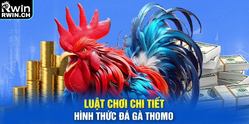 Luật chơi chi tiết hình thức đá gà Thomo